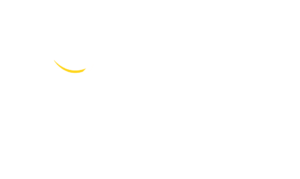 simplify-logo-w